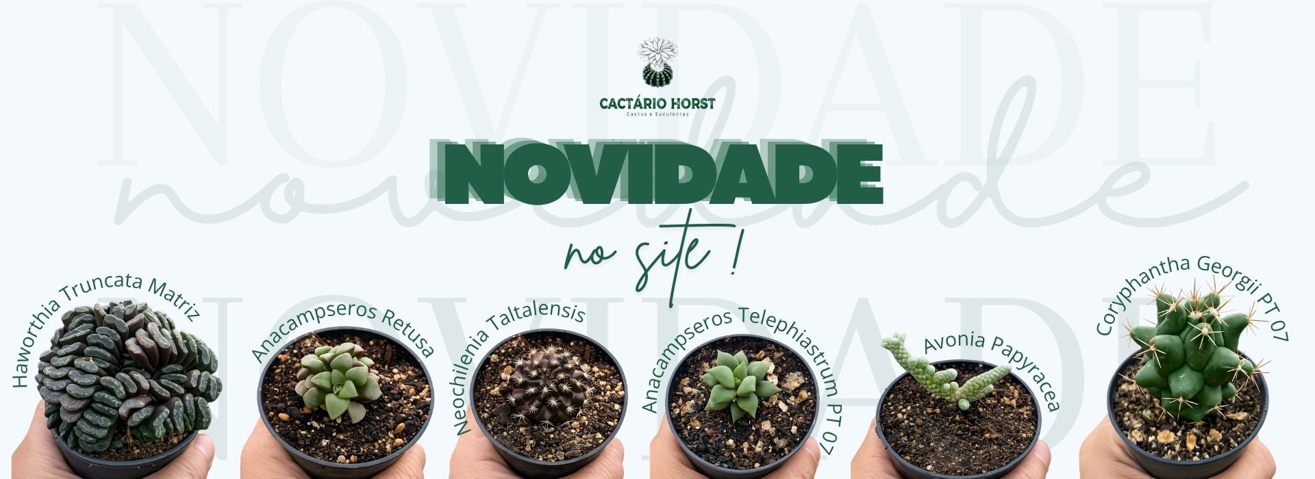 novidades 2