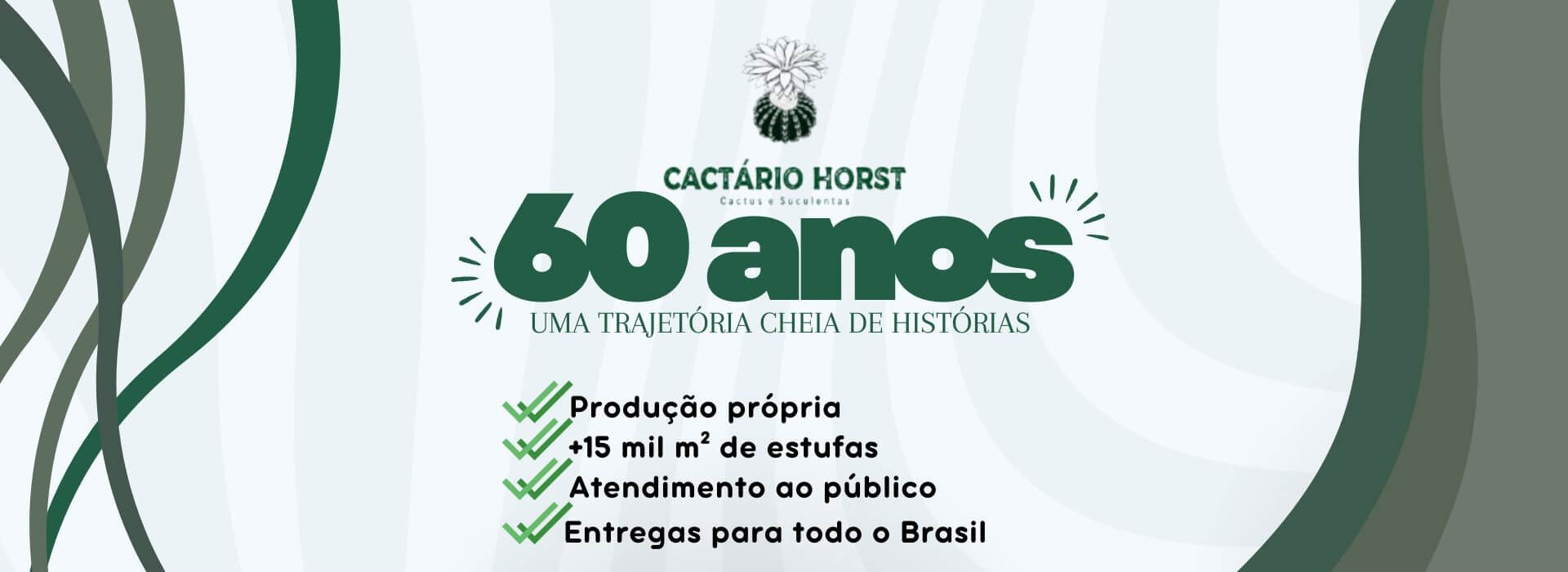 cactario 60 anos