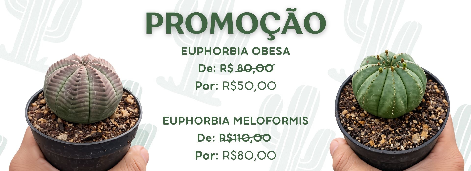 promoção