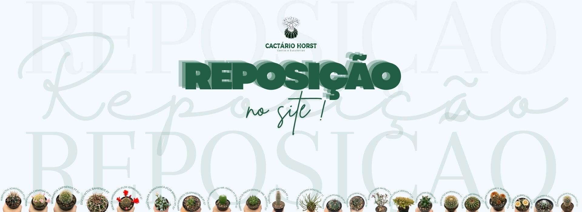 REPOSIÇÃO